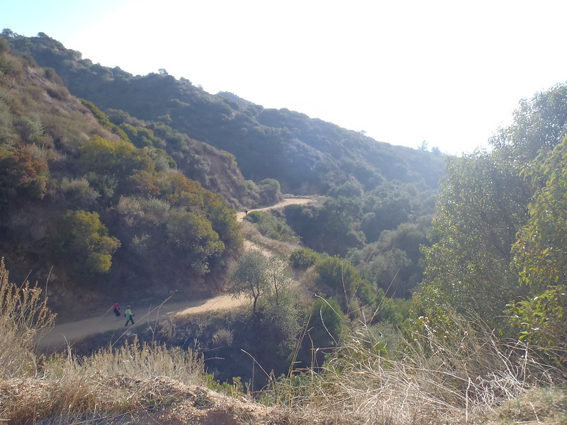 Claremont Wilderness Park 6 by Brian Altmeyer