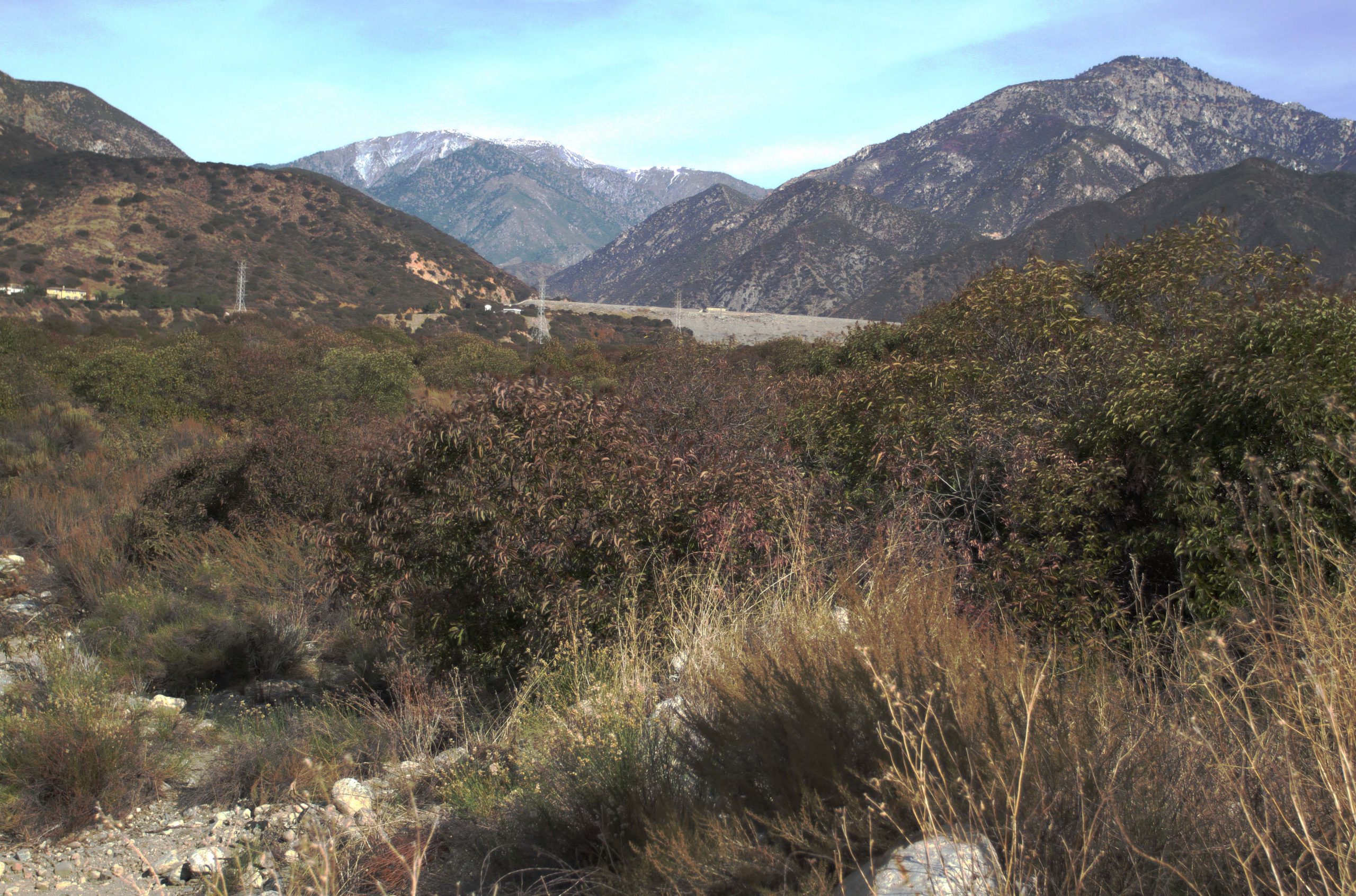 San Antonio Dam from the spreading grounds